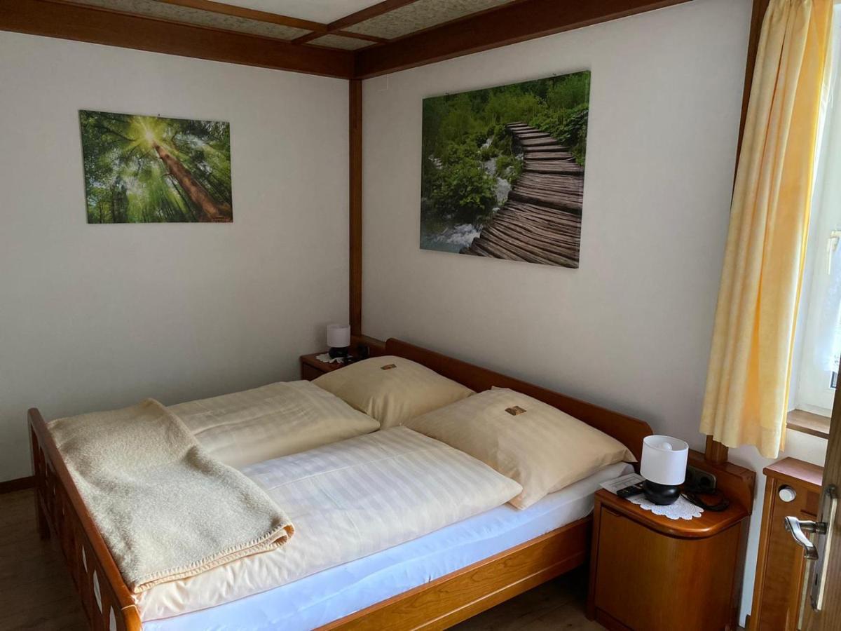 Ferienwohnung Scheiblechner 거스텔링안더얍스 외부 사진